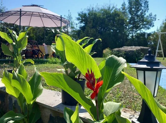 Sunset Отель Лозенец